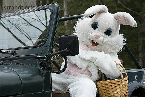 Der Osterhase feiert den Feiertag in seinem antiken Jeep.