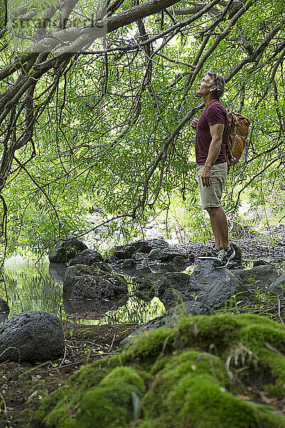 Wanderer blickt vom Bachufer in die Baumkronen