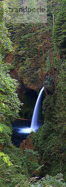 Wasserfall Metlako Falls im Columbia River Gorge National Scenic Area im Hood River County  Oregon; Juli 2008.