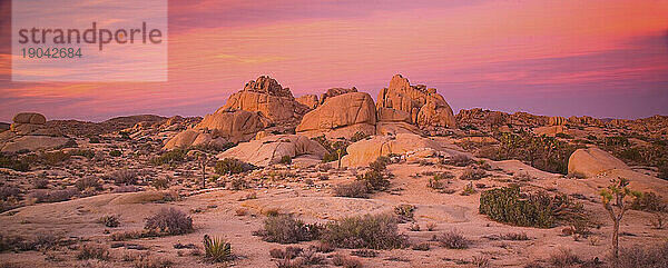 Rosafarbener Sonnenaufgang über einer der vielen einzigartigen Felsformationen im Joshua Tree National Park  Südkalifornien  März 2010.