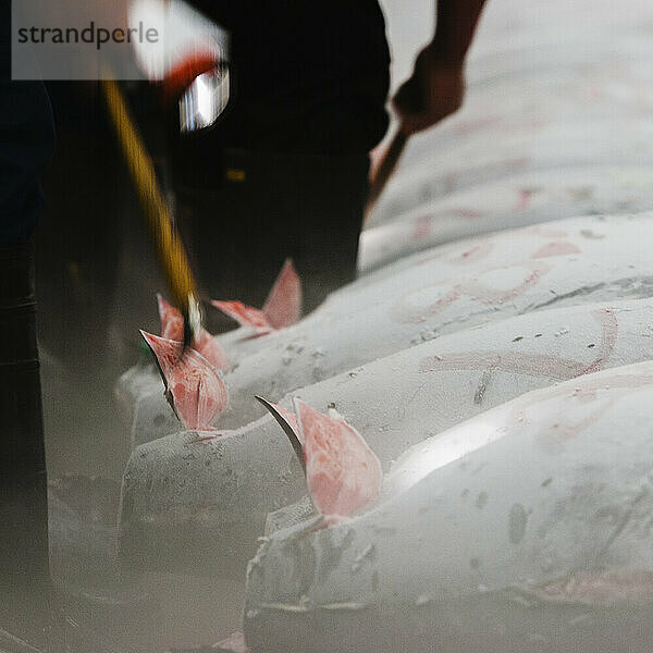 Frischer Thunfisch auf einem Fischmarkt.