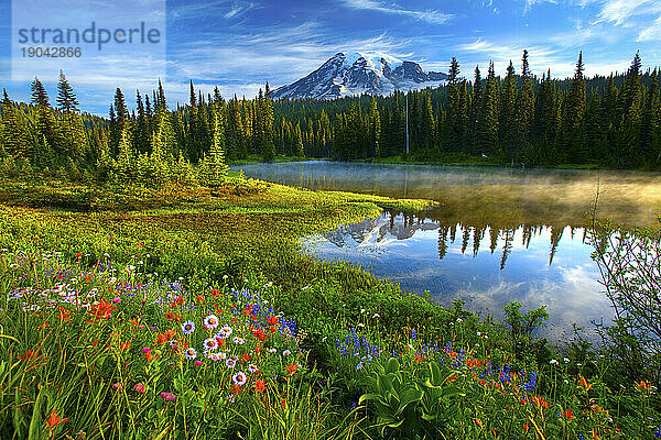 Mount Rainier im Mount-Rainier-Nationalpark  Washington  aufgenommen an einem klaren Sommermorgen auf der Paradise-Seite des Parks; Juli 2009.