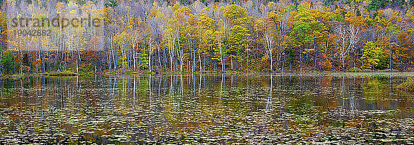 Reflektiertes Herbstlaub im stillen Wasser eines unbekannten Sees im Westen von New Hampshire  USA.