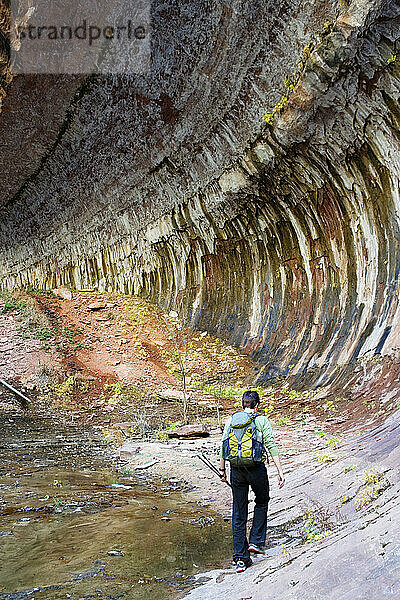 Rückansicht einer Wanderin  die sich der U-Bahn im Zion-Nationalpark  Utah  nähert.