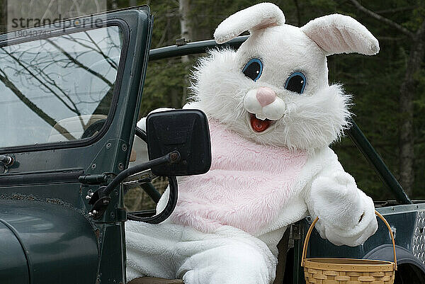 Der Osterhase feiert den Feiertag in seinem antiken Jeep.