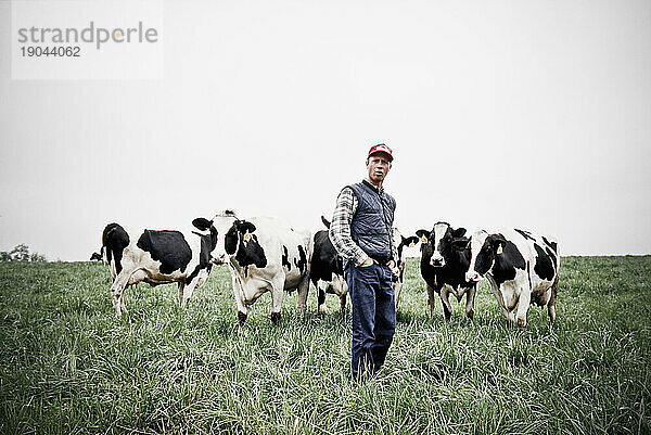 Ein junger Mann auf einem Feld mit den Milchkühen auf dem Bauernhof ihrer Familie in Keymar  Maryland.