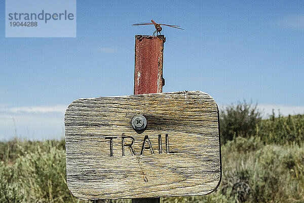 Libelle sitzt auf einem Wegweiser entlang des Ruby Crest National Recreation Trail  Elko  Nevada  USA