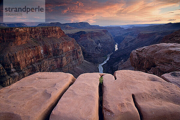 Grand Canyon-Sonnenaufgang vom North Rim am Torroweap Overlook mit Blick flussabwärts auf den Colorado River.