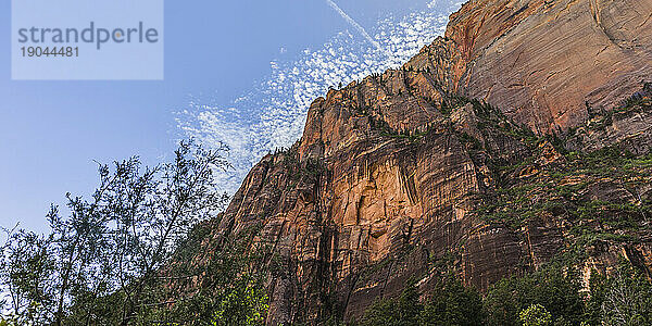 Malerische Klippenlandschaft im Zion-Nationalpark  Utah  USA