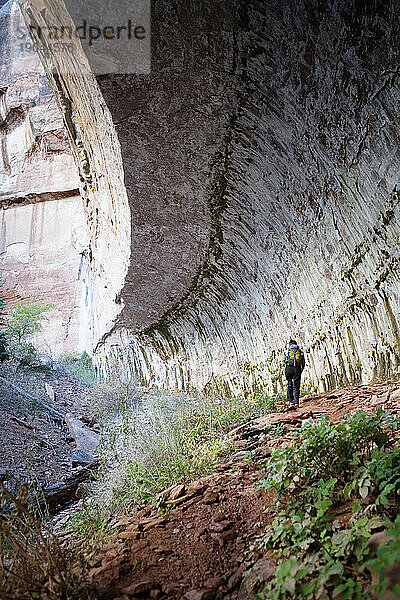 Rückansicht einer Wanderin  die sich der U-Bahn im Zion-Nationalpark  Utah  nähert.