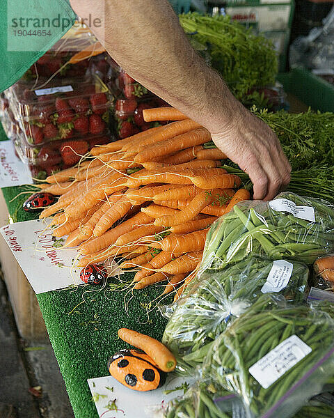 Karotten und anderes frisches Gemüse auf einem Bauernmarkt in San Francisco  Kalifornien.