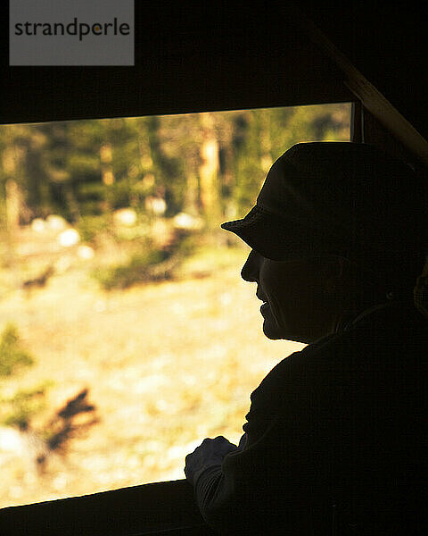 Seitenansicht  Silhouette  Profil  Porträt einer Person in einem offenen Fenster.