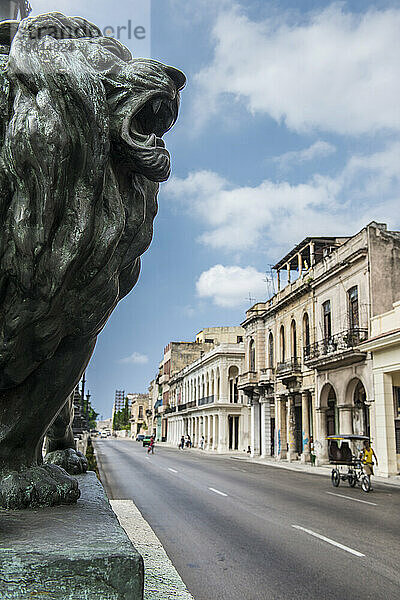 Ein bronzener Löwe bewacht den Boulevard El Prado (Paseo del Prado)  ein berühmtes Wahrzeichen in Havanna. Havanna Centro  La Habana  Kuba