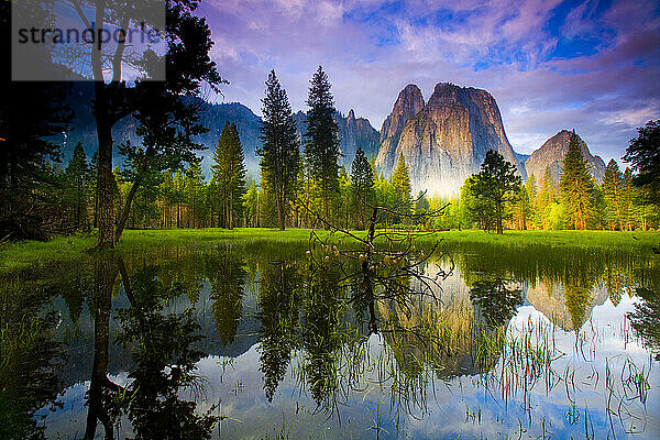 Cathedral Rock im Yosemite-Nationalpark  Kalifornien  spiegelt sich im Morgenlicht in einem saisonalen Frühlingsteich; Mai 2008.