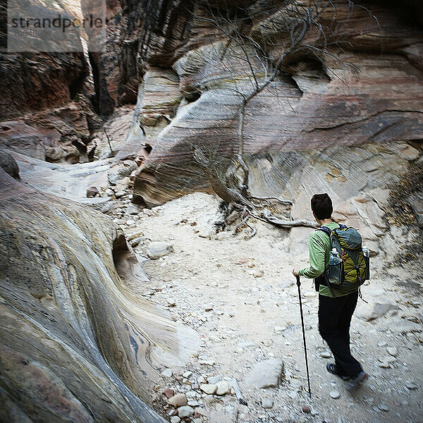 Eine Wanderin erkundet eine Schlucht im Zion-Nationalpark  Utah.