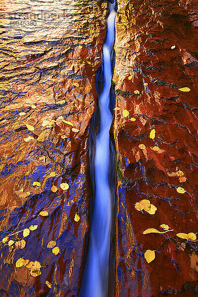 Der Crack  auch bekannt als Chute  direkt unterhalb der berühmten Subway im Zion-Nationalpark  Utah  Oktober 2010.