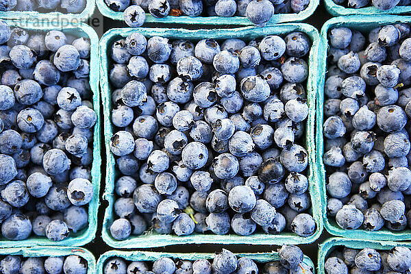 Nahaufnahme von Körben mit frischen Blaubeeren auf einem Bauernmarkt in San Francisco  Kalifornien.