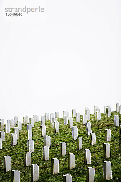 Weiße Grabsteine ??auf dem San Francisco National Cemetery.