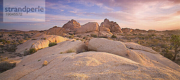 Sonnenaufgang über dem Joshua Tree Nationalpark  Kalifornien  März 2010.