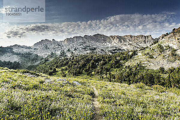 Landschaft mit Ruby Mountains und Wiese  Ruby Crest National Recreation Trail  Elko  Nevada  USA