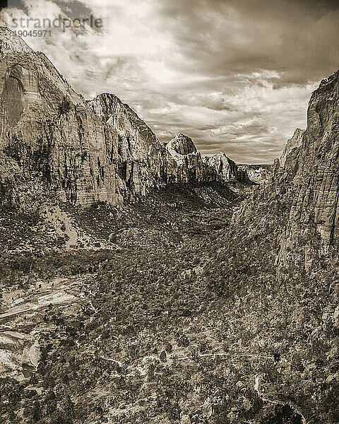 Malerische Landschaft des Canyons im Zion Nationalpark  Utah  USA