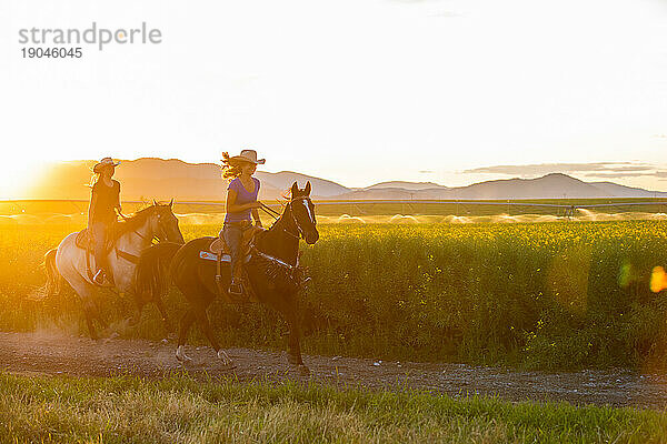 Zwei Cowgirls reiten bei Sonnenuntergang durch ein Rapsfeld