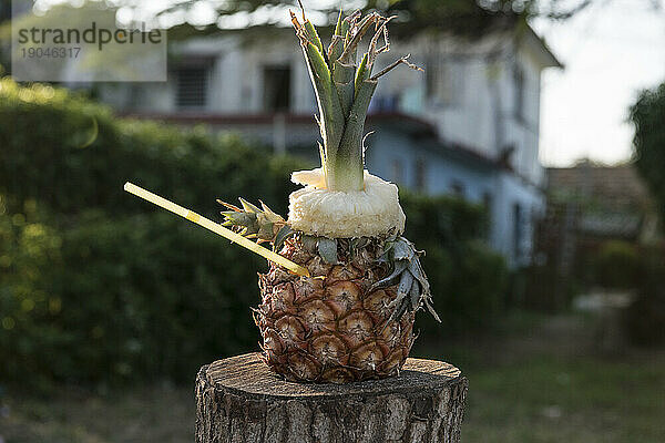 Kubanische PiÃ?Â±a Colada am Strand von Varadero - Kuba