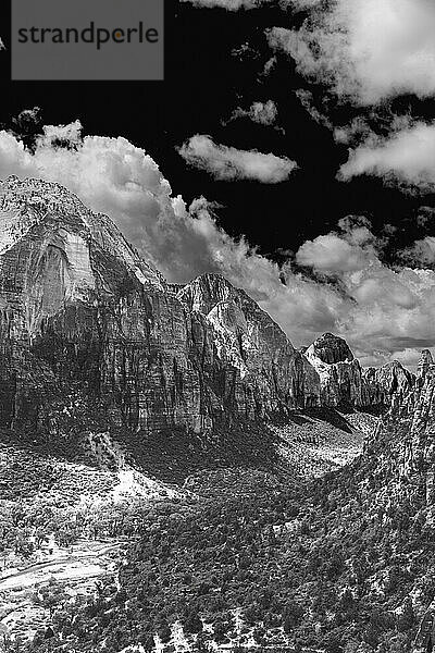 Malerische Landschaft des Canyons im Zion Nationalpark  Utah  USA