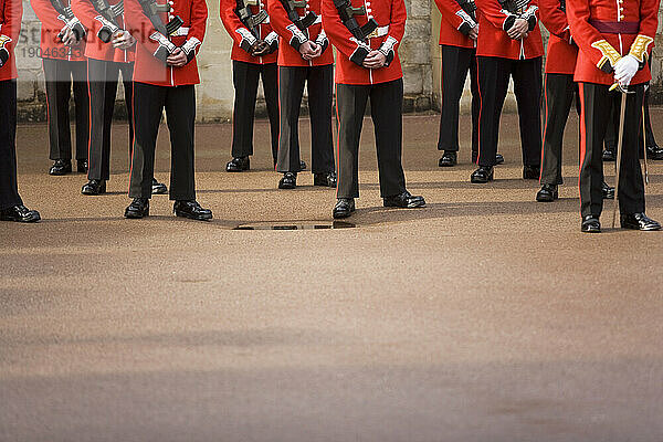 Rumpf und Beine der Royal Guards.