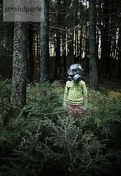 Junges Mädchen (5-6 Jahre) steht allein im Wald und trägt eine Gasmaske  Maine.