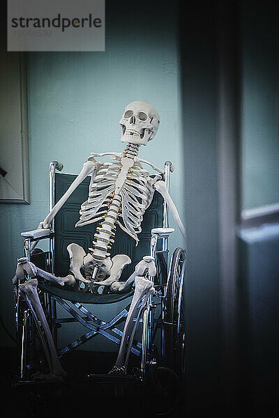 Ein künstliches menschliches Skelett  das im Rollstuhl sitzt.