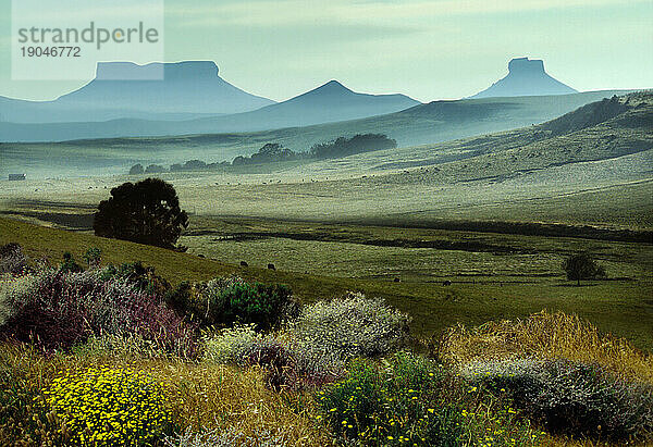 Tafelberge in Kwazulu Natal