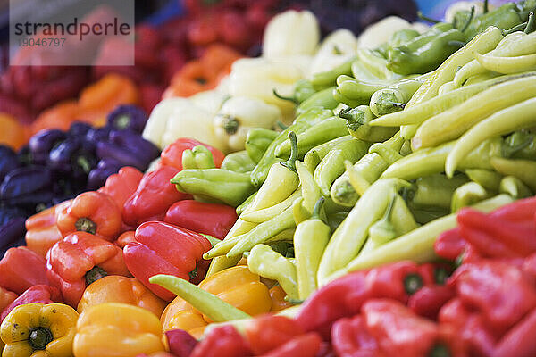 Bunte Paprika auf dem Farmers Market  The Ferry Plaza  San Francisco  CA.