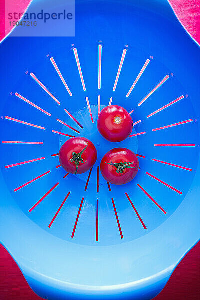 Draufsicht auf drei Tomaten in einem blauen Sieb