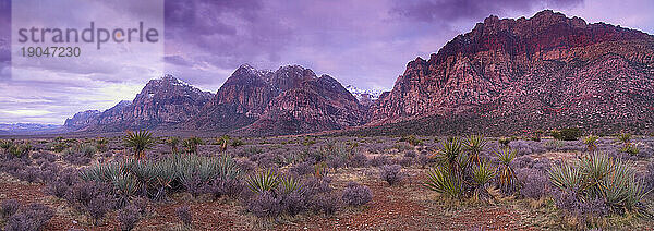 Die charakteristischen roten Felsberge des Red Rock Canyon National Park außerhalb von Las Vegas  Nevada  leuchten im frühen Morgenlicht  wenn die Gewitterwolken aufbrechen. Nevada  USA