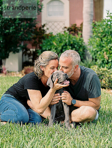 Ein hispanisches Paar küsst seinen Doggenwelpen im Vorgarten