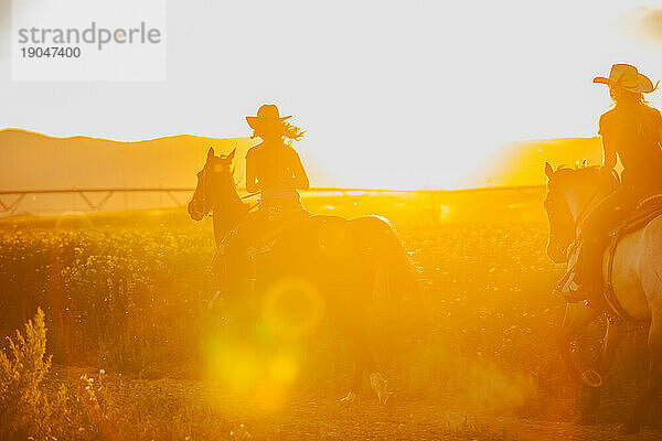 Zwei Cowgirls reiten bei Sonnenuntergang durch ein Rapsfeld