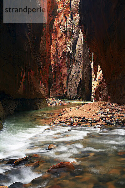 Zion Narrows im Zion-Nationalpark ist eine der abwechslungsreichsten Wanderungen des Parks den Virgin River hinauf durch eine einzigartige Schlucht aus glattem Sandstein.