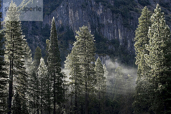 Morgensonne scheint auf das Tal des Yosemite-Nationalparks  Kalifornien; Winter 2007.