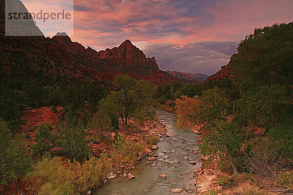 Rosafarbener Morgensonnenaufgang über dem Virgin River im Zion-Nationalpark im Süden Utahs im Herbst 2010.