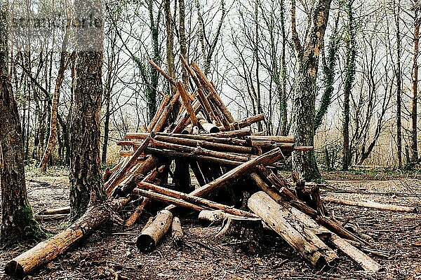 ein Blockhaus wie ein Tipi-Zelt im Wald in England