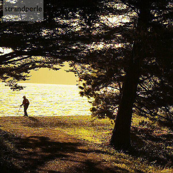 Rückansicht-Silhouette eines Wanderers in Tomales Bay  Point Reyes National Seashore  CA.