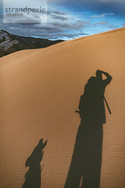 Schatten des Fotografen und des Hundes auf Sanddünen unter blauem Himmel
