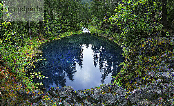 Tamolitch/Blue Pool liegt am McKenize River im Willamette National Forest in Zentral-Oregon  USA.