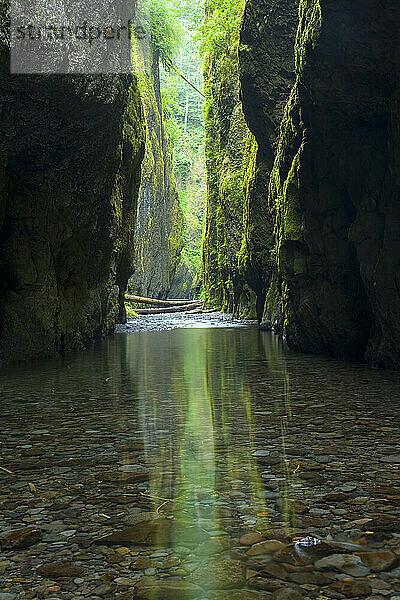 Oneonta Gorge liegt in der Columbia River Gorge in Oregon  USA