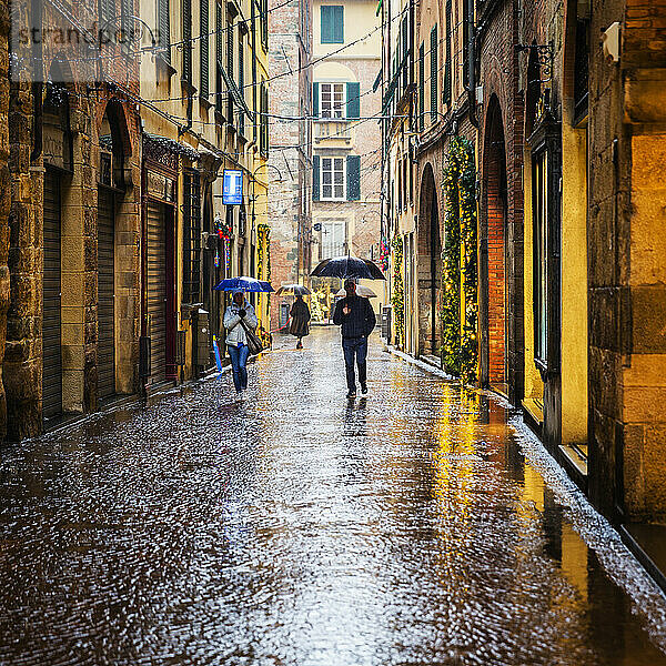 Straße im Regen in Lucca  Toskana  Italien