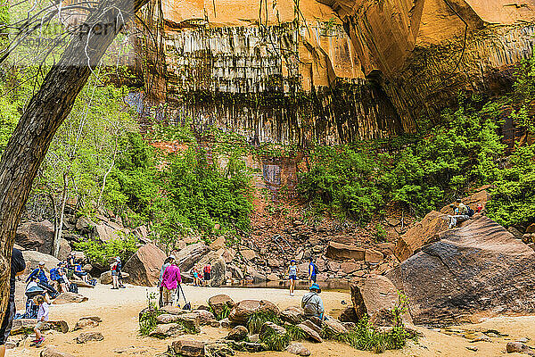 Wanderer rund um den Upper Emerald Pool im Zion Nationalpark  Utah  USA