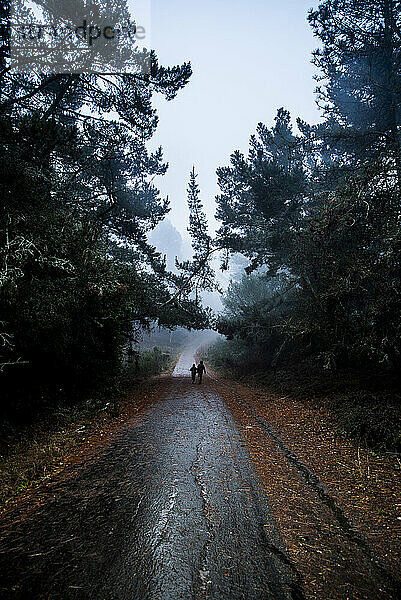 Waldweg mit zwei Personen  die in der Ferne davonlaufen