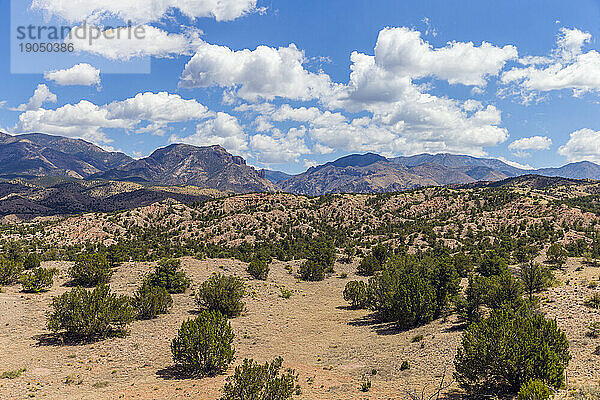 Wüstenlandschaft in New Mexico  USA