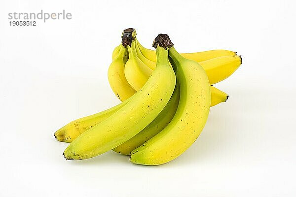 Unreife und reife Bananen  Studioaufnahme  weisser Hintergrund  gesunde Ernährung
